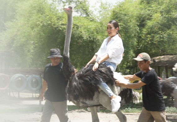 Riding ostrich with zoo keeper's guide and assistance
