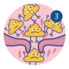 No alt text found for the image.