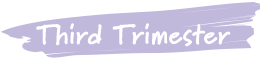third_trimester
