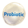 Probiotic B. lactis HNO19