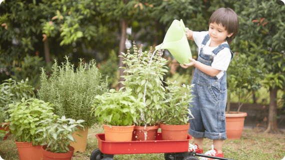 A young child demonstrating responsibility by watering plants