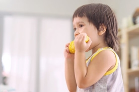 Kid is eating corn to ensure sufficient of nutrients