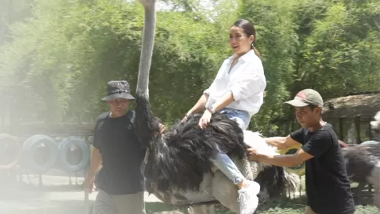 Riding ostrich with zoo keeper's guide and assistance