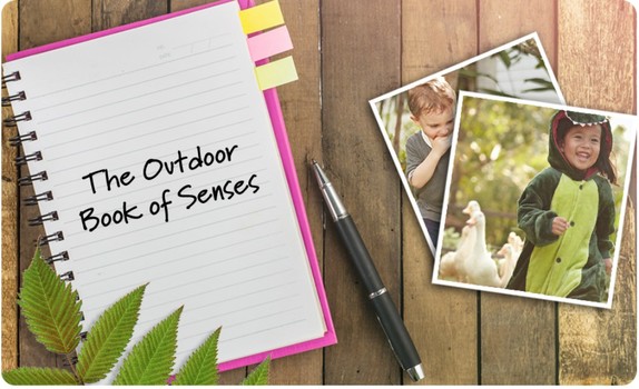 outdoor book of sense
